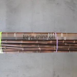Dark Brownish Bamboo Pole,bamboo Cane,bamboo Stake,bamboo Stick,THIS COLOR IS NOT DYED thumbnail-1