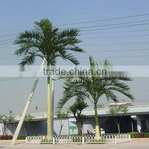 Artificial Coconut Tree Royal Style Royal Coconut Tree for Outdoor Application thumbnail-1