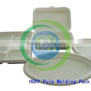 HGHY Bagasse Plate Machine of Pulp Molding China thumbnail-5