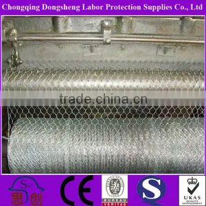 Chicken Coope Hexagonal Wire Mesh thumbnail-1
