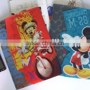 2012 Snap pp File Folder thumbnail-1