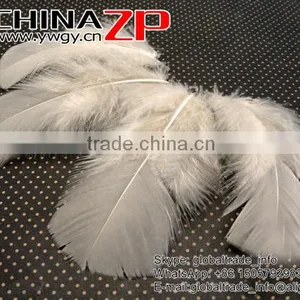 CHINAZP Good Quality Plumage Wholesale Dyed Ivory Turkey T-Base Body Feathers for Sale thumbnail-2