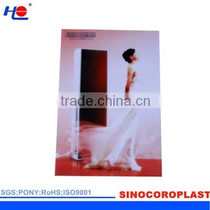 Heat Resistance and Anti-uv Plastic Polypropylene Coroplast Signboard thumbnail-2