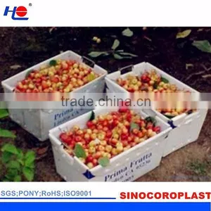Plastic Vegetable Packaging Box thumbnail-3