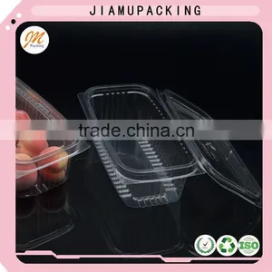 Made in China Clear PET Blister Packaging thumbnail-1