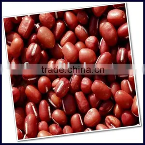 China Small Red Beans 2010 CROP thumbnail-1
