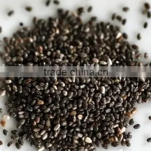 2016 Flower Seed Processing Machine/seed Sorting Machine/small Color Sorter thumbnail-4