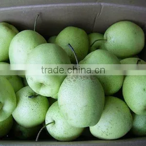 ya Pears 2012 thumbnail-1