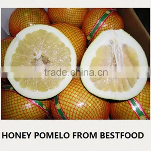 2015 New Crop of Fresh Honey Pomelo for Sale thumbnail-4
