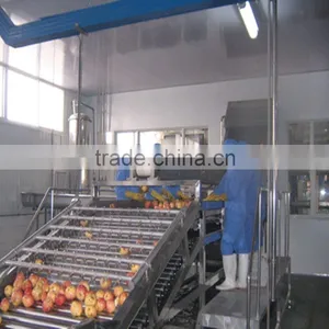 Aseptic Apple Puree Concentrate thumbnail-1