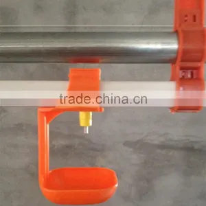 Poultry Farm Equipment for Breeder thumbnail-3