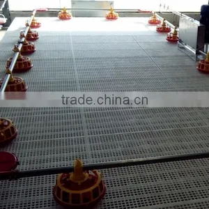 Poultry Chain Feeding System for Breeders, Poultry Pan Feeding System for Breeders thumbnail-4