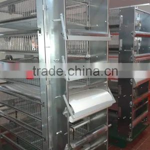 Quail Cage thumbnail-5