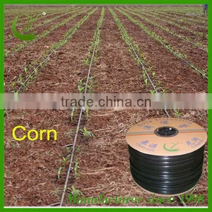 Wholesale PE Material Agricultural Drip Irrigation Tape Factory thumbnail-6
