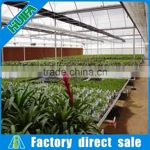 Commercial Greenhouse Galvanized Frame Seed Bed With Low Cost thumbnail-4