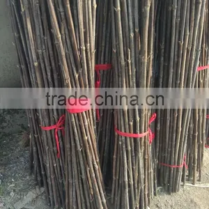 Natural/cheap/raw Eco-friendly Bamboo Poles thumbnail-2