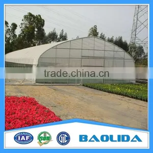 Factory Price BaoLiDa Poly Tunnel Greenhouse For Vegetables /Fruits /Crops thumbnail-1