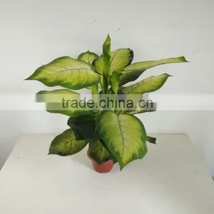 Artificial Rohdea Fake Dieffenbachia Artificial Decorative Evergreen thumbnail-6