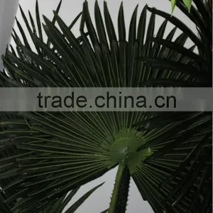 Wholesale Plastic Artificial Coconut Leaves ,palm Leaves on the Sale thumbnail-1