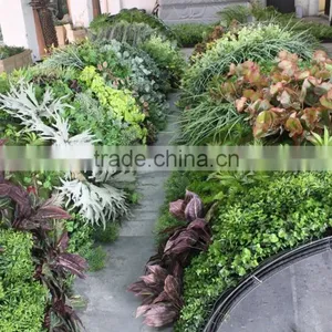 High Technique Fake Grass Wall Evergreen Artificial Grass Wall thumbnail-3
