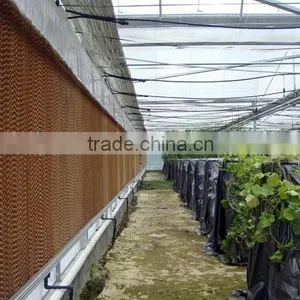 2017 Hot Sale Honey Comb Cooling Pad for Greenhouse thumbnail-1