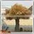 2015 Artificial Big Fake Trees Tropical Plants for Weddings Golden Tree Stumps thumbnail-6