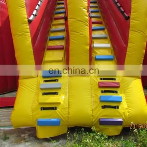 Large Inflatable Double Tube Slide With Pool, Inflatable Water Park Slides for Sale thumbnail-6