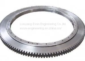 Slewing Bearing for Excavator thumbnail-1