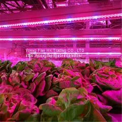 Full Spectrum T8 T5 Plant LED Grow Light Tube thumbnail-1