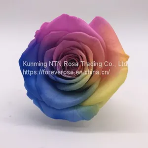 Preserved Rose Preserved Flowers Dried Flowers Birthday Valentine Party Wedding thumbnail-4