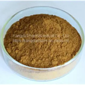 Ginkgo Biloba Extract thumbnail-1
