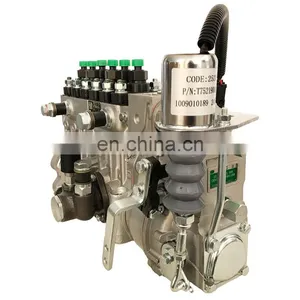 P/erkins 1006 Engine Injection Pump 10 403 576 112 10403576112 With ASIMCO Brand,CPES6PB110D120RS3162 Pump thumbnail-4