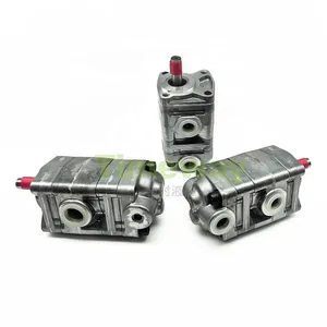 YPD1 Double Gear Pump YPD1-2.52.5A2D2-L038 High Pressure Hydraulic Heavy-duty Gear Lubetransfer Oil Pump thumbnail-6