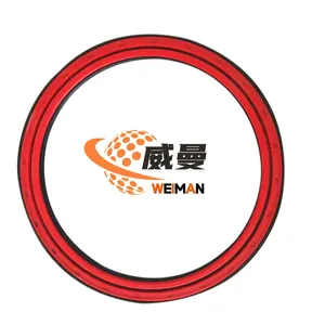SDLG Original Spare Part HG4-692-SG Oil Seal 4030000146 4030000047 for Wheel Loader Part for Sale thumbnail-2