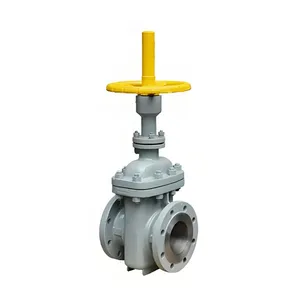 Factory Direct Sales Flat Gate Valve thumbnail-1