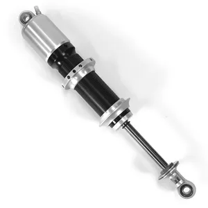 Trans Am Series Shocks thumbnail-2