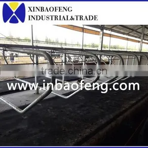Cattle Cow Free Stall thumbnail-1