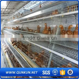 Samples of Poultry House for Layers thumbnail-4