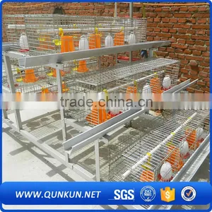 Automatic Chicken Layer Poultry Control Shed Equipment thumbnail-2