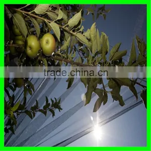 Anti Hail Systems/ Anti Hail Net / Hail Protection Nets for Agriculture thumbnail-4
