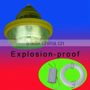 High Efficiency Explosion Proof Induction Lamp thumbnail-1