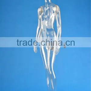 Full Body Transparent Plastic Mannequin thumbnail-1