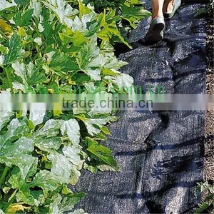60g-170g Virgin pp Tree Weed Mat thumbnail-1