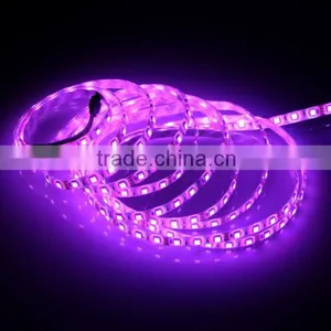 Home Hotel KTV Bar Decorative Colorful 5050SMD IP65 Waterproof RGB Flexible LED Strip Light thumbnail-2