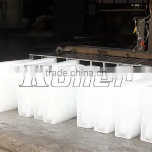 Ten Tons Tropical Design Ice Block Maker thumbnail-6