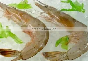 Zhoushan Haohai Aquatic Products Co., Ltd. company overview - view 1 thumbnail