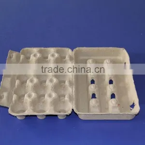 Fiber Molding Made in China Paper Making Machine Egg Tray Carton 2700 Pcs/hour thumbnail-2