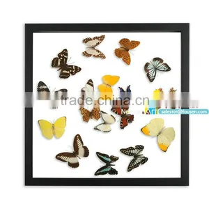 FOUSEN(026) Nature& Art Natural Home Decoration Supplier Hanging Picture Frame thumbnail-1