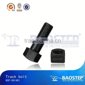 BAOSTEP Multifunction Special Design Manufacturer Bolts Din 603 thumbnail-1