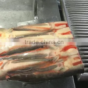 Frozen Seafood Cat Fish Headless Catfish Maw thumbnail-1